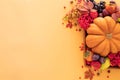 The concept of the autumn harvest of pumpkin vegetables, fruits and berries Royalty Free Stock Photo