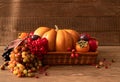 The concept of the autumn harvest of pumpkin vegetables, fruits and berries. Festive autumn decor of pumpkins Royalty Free Stock Photo