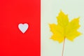 Concept of autumn mood and Canada day. yellow maple leaf on a light background and a white heart on a red background Royalty Free Stock Photo