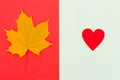 Concept of autumn mood and Canada day. yellow maple leaf on a red background and a red heart Royalty Free Stock Photo