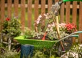 Pouring a stream of water from a watering can. Wheelbarrow with Gardening tools in the garden Royalty Free Stock Photo