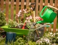 Pouring a stream of water from a watering can. Wheelbarrow with Gardening tools in the garden Royalty Free Stock Photo