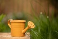 Mniature watering can. Concept background for gardening Royalty Free Stock Photo