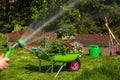 Wheelbarrow with Gardening tools in the garden. watering in the garden Royalty Free Stock Photo