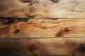 Concept of backgrounds and textures with a rustic wooden backdrop Royalty Free Stock Photo