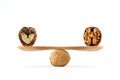 Concept of balance between heart and brain illustrated with walnuts