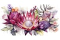 Banner with branches purple protea flowers, plumeria, hibiscus and tropical plants, hand drawn watercolor painting on white backgr Royalty Free Stock Photo