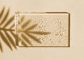 Concept beige summer frame , a glass border with water drops and a shadow of tropical leaf.