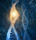 Concept of biochemistry with dna molecule Royalty Free Stock Photo