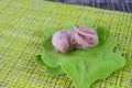 The concept of birth. Newborn baby rat lies on a green leaf Royalty Free Stock Photo