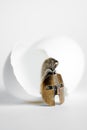 The concept of the birth of a warrior. Gladiator`s bronze helmet next to a broken egg shell on white background Royalty Free Stock Photo