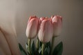 Blossoming Beauty Captivating Spring Tulips in Full Bloom.AI Generated Royalty Free Stock Photo