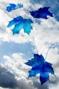 Concept blue abstract maple falling leaves on blue cloud sky background autumn equinox