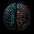 A concept of a brain split between organic and digital halves, representing the fusion of human cognition and artificial Royalty Free Stock Photo