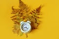 The concept of bright autumn days. Dry fern leaves, yellow maple leaves, alarm clock on a yellow background, top view, place for