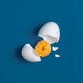 The concept of a broken egg and an unusual filling Royalty Free Stock Photo