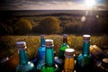 A Bunch Of Bottles That Are Sitting In The Grass. Generative AI