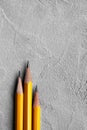 Concept of business, Back to school, three sharpened pencils on a background of gray plaster texture, space for text Royalty Free Stock Photo