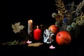 The concept of celebrating the autumn holiday Halloween. Holiday card : a bouquet of dried flowers, an animal skull, orange