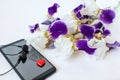 The concept of celebrating Valentine`s Day - a red heart on the phone against a bouquet of irises