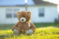 Concept of childhood. Big plush teddy bear sitting alone on green grass lawn in summer Royalty Free Stock Photo