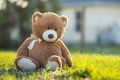 Concept of childhood. Big plush teddy bear sitting alone on green grass lawn in summer Royalty Free Stock Photo