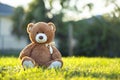 Concept of childhood. Big plush teddy bear sitting alone on green grass lawn in summer Royalty Free Stock Photo