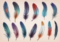 Childrens Illustration Of Set Collection Of Feathers Isolated On A Background For Design And Overlay. Generative AI