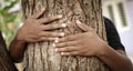 Concept of Chipko movement or Chipko Andolan - Hands hugging tree showing of save tree. Royalty Free Stock Photo