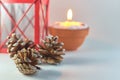 Concept for Christmass and New year of cones and candle on a blurred background.