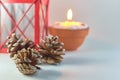 Concept for Christmass and New year of cones and candle on a blurred background. Royalty Free Stock Photo