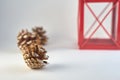 Concept for Christmass and New year of cones and part of red lantern on a blurred background.