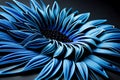 A Close Up View Of A Blue Flowered Fabric With Many Petals On The Back Of It, With A Black Background And A Blue Background. Gener Royalty Free Stock Photo