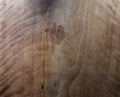 Concept. Close-up wooden cut texture. Beautiful wooden background Royalty Free Stock Photo