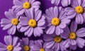 Closeup Of Purple Flowers On A Purple Background. Generative AI