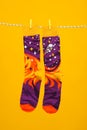 Concept of clothes for legs - socks, socks hanging on rope Royalty Free Stock Photo