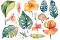 Collection of watercolor wild tropical leaves and flowers, jungle plant leaves isolated on white background, monstera, hibiscus fl