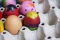 Concept, colorful fancy easter eggs in tray Royalty Free Stock Photo