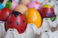 Concept, colorful fancy easter eggs in tray Royalty Free Stock Photo