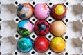Concept colorful fancy easter eggs in tray Royalty Free Stock Photo