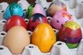 Concept, colorful fancy easter eggs in tray Royalty Free Stock Photo