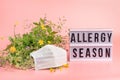 The concept combating and preventing seasonal allergies. Fresh flowers medical mask pink background text Allergy Season Royalty Free Stock Photo