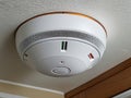 Comprehensive Carbon Monoxide Detectors for Gas Safety and Home Monitoring.AI Generated