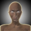 3D illustration wireframe young human female or woman face or head glowing
