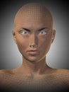 3D illustration wireframe young human female or woman face or head