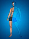 3D strong young male man bodybuilder vs underweight thin on blue background