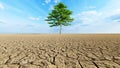 Concept or conceptual desert landscape with a green tree as a metaphor for global warming and climate change. A warning for the