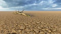 Concept or conceptual desert landscape with a parched tree trunck as a metaphor for global warming and climate change. A warning Royalty Free Stock Photo