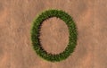 Green summer lawn grass symbol shape on brown soil or earth background, font of O