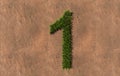 Green summer lawn grass symbol shape on brown soil or earth background, the font one Royalty Free Stock Photo